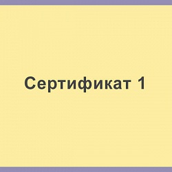 Сертификат 1