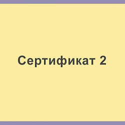 Сертификат 2